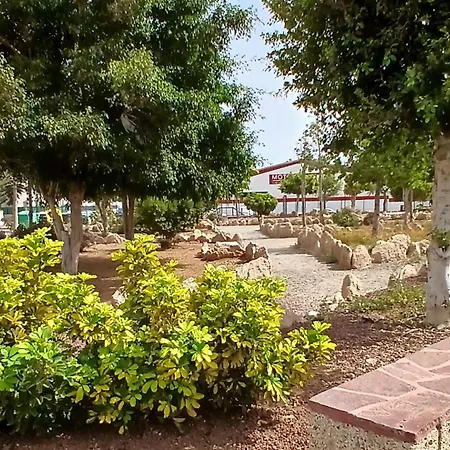 New Jasmine * San Isidro (Tenerife)