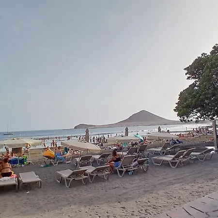 New Jasmine * San Isidro (Tenerife)