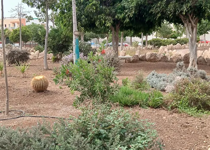 New Jasmine بيت ضيافة سان إيسيذرو