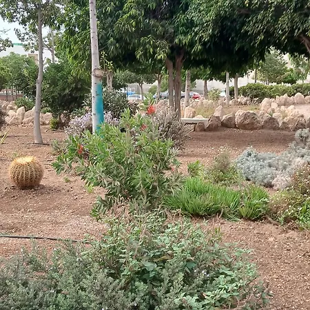 New Jasmine Gæstehus San Isidro (Tenerife)